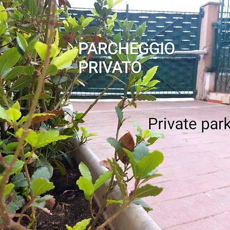 Art And Garden Apartamento Palermo